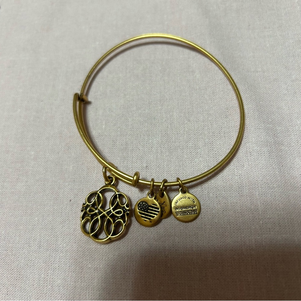 Alex and Ani Gold Path Of Life Charm Bangle NWOT